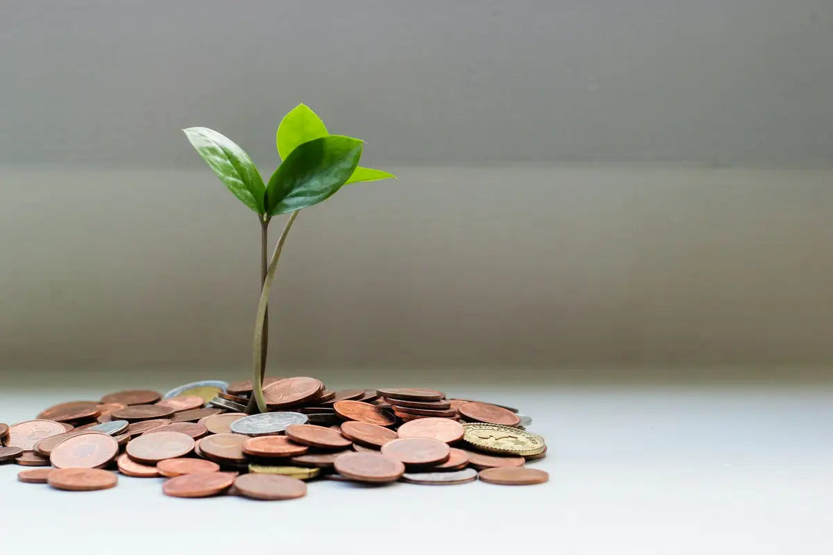 Symbolic image with coins and a plant shoot emerging from them on the subject of funding, sustainability, foundations